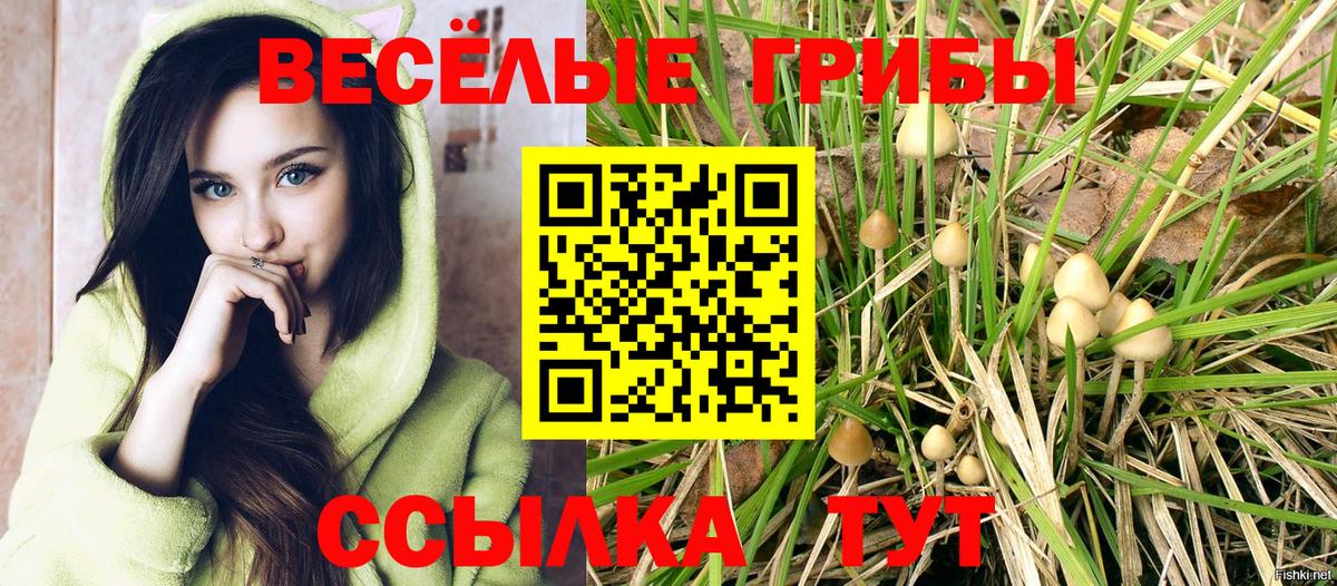 Галлюциногенные грибы ЛСД  Псилоцибиновые грибы мухоморы  наркота  Пугачёв  Вход с VPN 