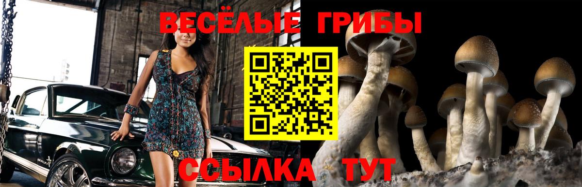 Галлюциногенные грибы мухоморы Пугачёв
